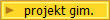 projekt gim.